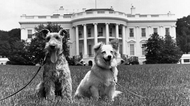 Τα κατοικίδια της οικογένειας Κένεντι, Charlie and Pushinka