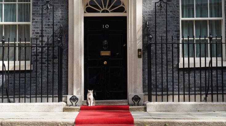 Ο Larry στο κόκκινο χαλί 