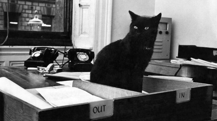 H Peta κατά την επίσημη υποδοχή την τον Μάιο του 1964