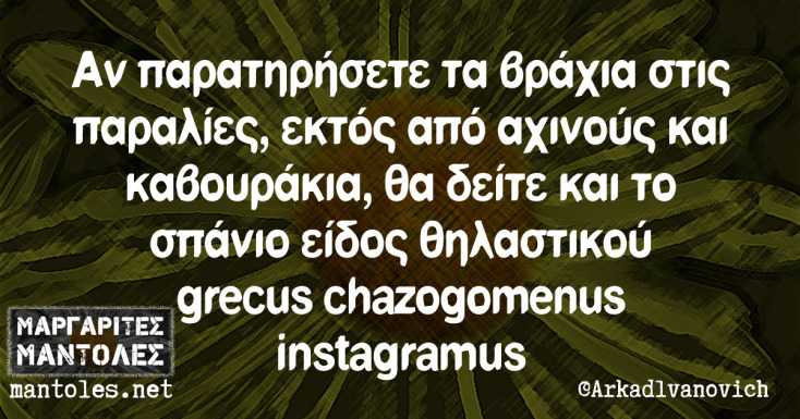 Αστεία memes, ατάκες, YOLO βίντεο, viral, αστεία video στο TikTok που ανέβηκαν στο διαδίκτυο και μας έκαναν να γελάσουμε.