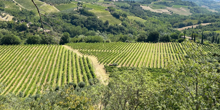 Ημερολόγια Αυγούστου: Ταξίδι στην Ευρώπη με αυτοκίνητο - Από την Δήμητρα Γκρους
