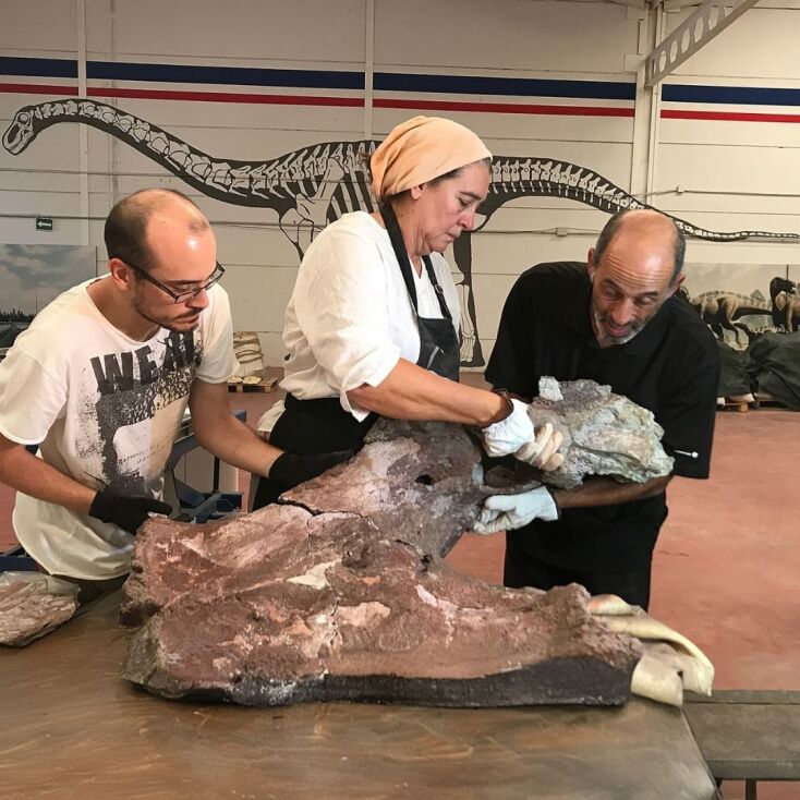 Τα απολιθώματα ενός νέου είδους δεινοσαύρου ανακάλυψαν ερευνητές στην Ισπανία