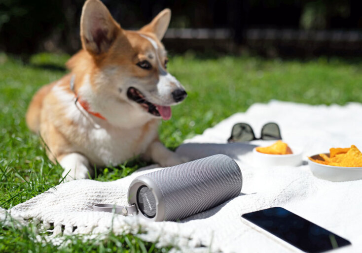 Φορητό ασύρματο ηχείο OnMove 15: Ιδανικό για το διάλειμμα και για το πάρτι