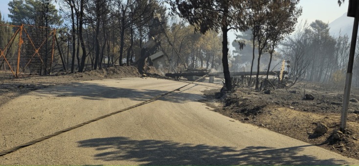 Καμμένα δέντρα και κολώνα της ΔΕΗ που έχει υποστεί ζημιές και έχει πέσει στον δρόμο