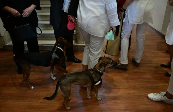  ΕΚΛΟΓΕΣ ΓΙΑ ΤΗΝ ΑΝΑΔΕΙΞΗ ΠΡΟΕΔΡΟΥ ΤΟΥ ΠΑΣΟΚ-ΚΙΝΗΜΑΤΟΣ ΑΛΛΑΓΗΣ / ΣΤΙΓΜΙΟΤΥΠΑ (ΤΑΤΙΑΝΑ ΜΠΟΛΑΡΗ/EUROKINISSI)