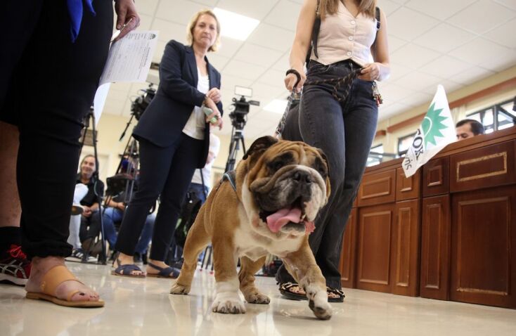  ΕΚΛΟΓΕΣ ΓΙΑ ΤΗΝ ΑΝΑΔΕΙΞΗ ΠΡΟΕΔΡΟΥ ΤΟΥ ΠΑΣΟΚ-ΚΙΝΗΜΑΤΟΣ ΑΛΛΑΓΗΣ / ΣΤΙΓΜΙΟΤΥΠΑ (ΤΑΤΙΑΝΑ ΜΠΟΛΑΡΗ/EUROKINISSI)