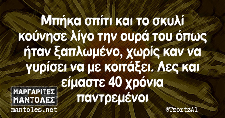 Αστεία memes, ατάκες, YOLO βίντεο, viral, αστεία video στο TikTok που ανέβηκαν στο διαδίκτυο και μας έκαναν να γελάσουμε.