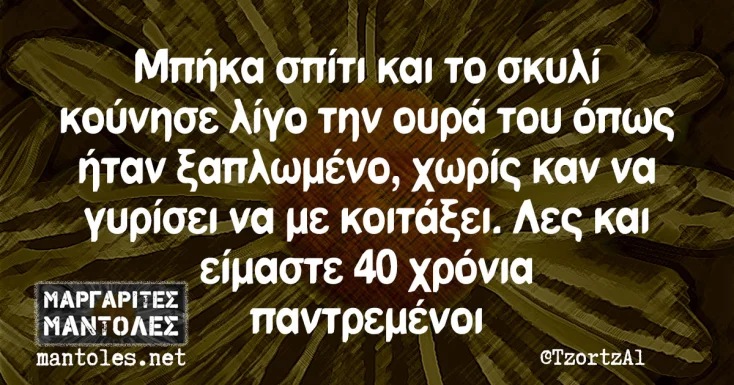 [Εικόνα: yolo-fantasou.webp]