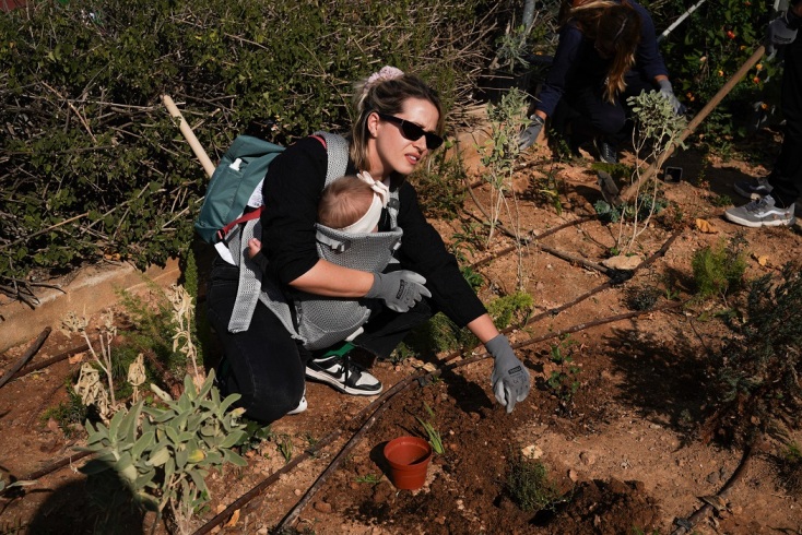 Δεντροφύτευση στην Κυψέλη