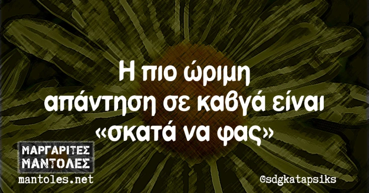 [Εικόνα: yolo-orimotita.webp]