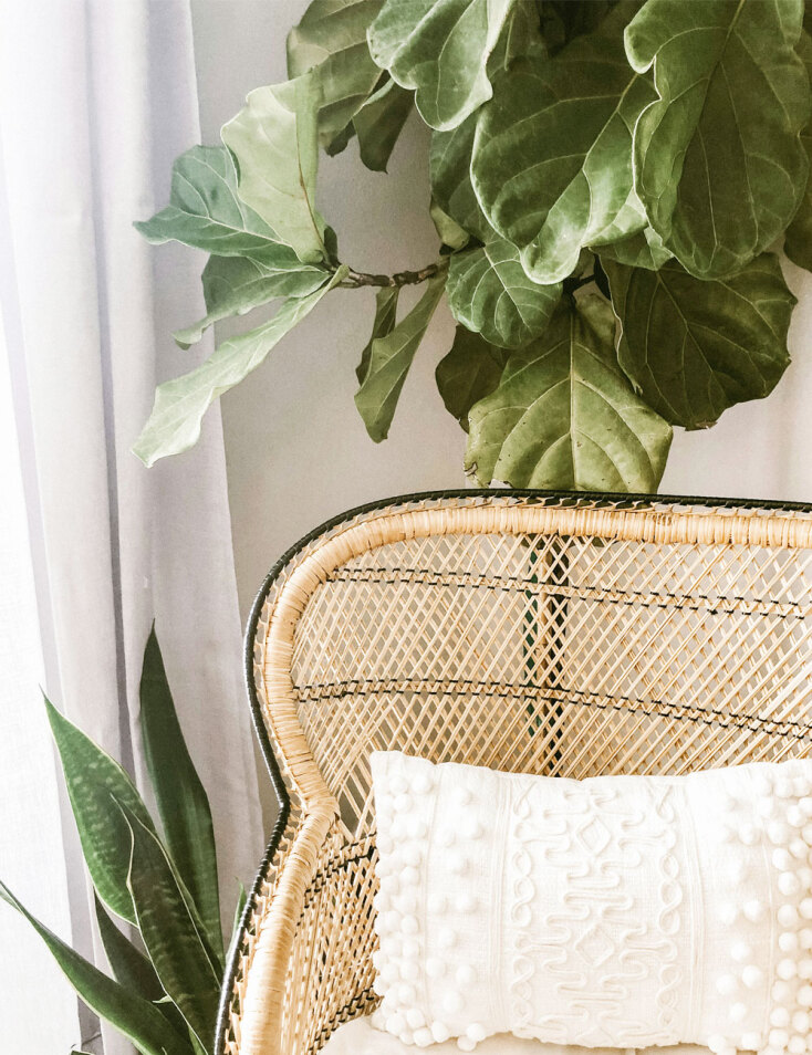 Φίκος Λυράτα