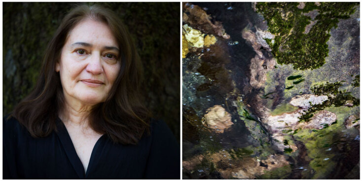 Χάρης Κακαρούχας: Έκθεση φωτογραφίας - Ένα εύθραυστο θαύμα