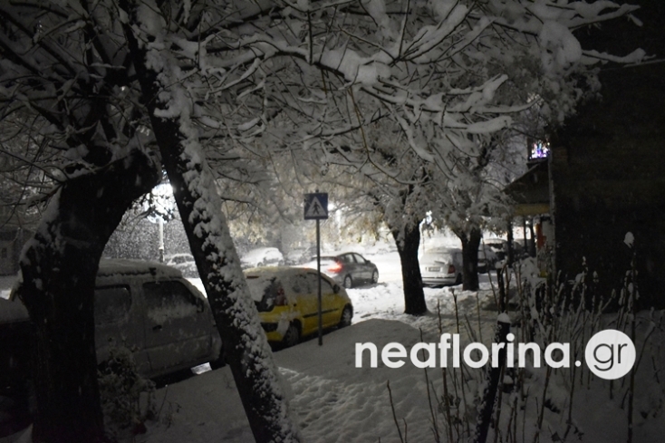 Χιόνια στη Φλώρινα