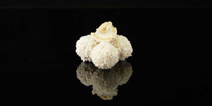 Χιονόμπαλες καρύδας με λευκή σοκολάτα