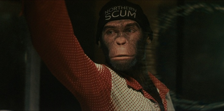 μαιμου ντυμενη με ρουχα