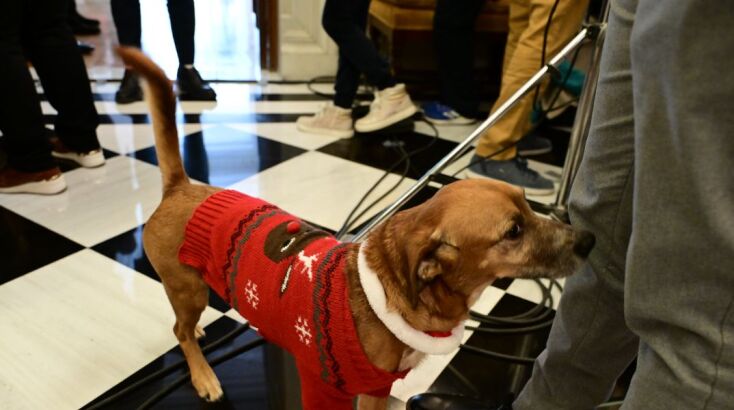 Ο Πίνατ με το εορταστικό του ντύσιμο έκλεψε την παράσταση στα κάλαντα στο Μαξίμου