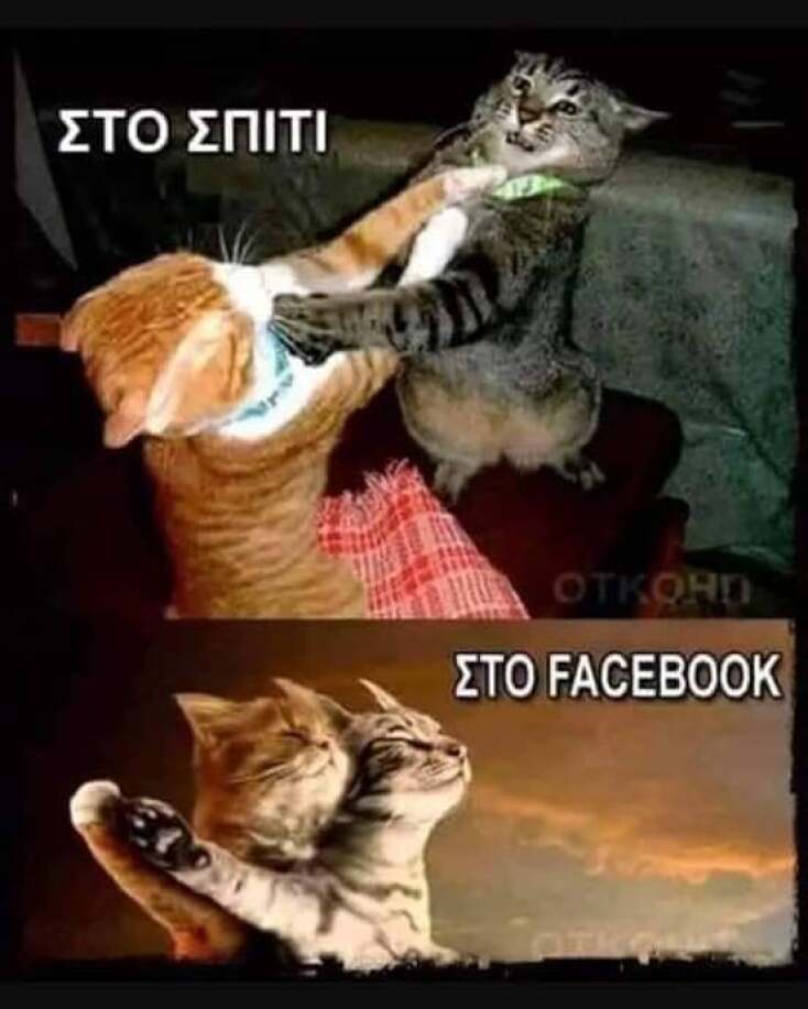 Αστεία memes, ατάκες, YOLO βίντεο, viral, αστεία video στο TikTok που ανέβηκαν στο διαδίκτυο και μας έκαναν να γελάσουμε.