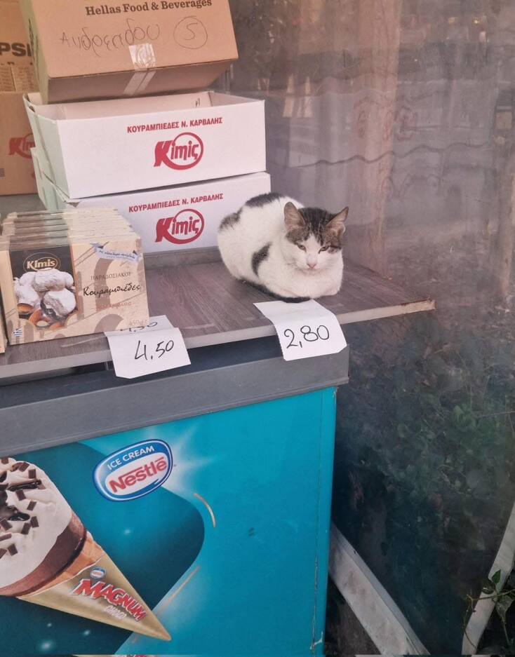 Αστεία memes, ατάκες, YOLO βίντεο, viral, αστεία video στο TikTok που ανέβηκαν στο διαδίκτυο και μας έκαναν να γελάσουμε.