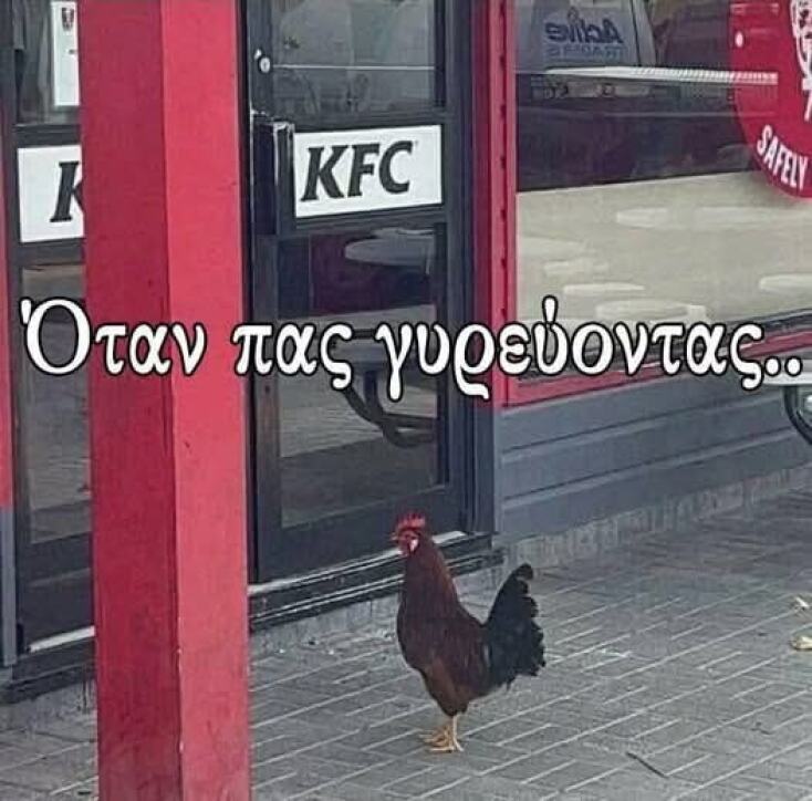 Αστεία memes, ατάκες, YOLO βίντεο, viral, αστεία video στο TikTok που ανέβηκαν στο διαδίκτυο και μας έκαναν να γελάσουμε.