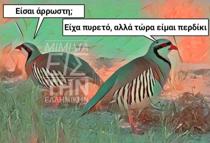 Αστεία memes, ατάκες, YOLO βίντεο, viral, αστεία video στο TikTok που ανέβηκαν στο διαδίκτυο και μας έκαναν να γελάσουμε.