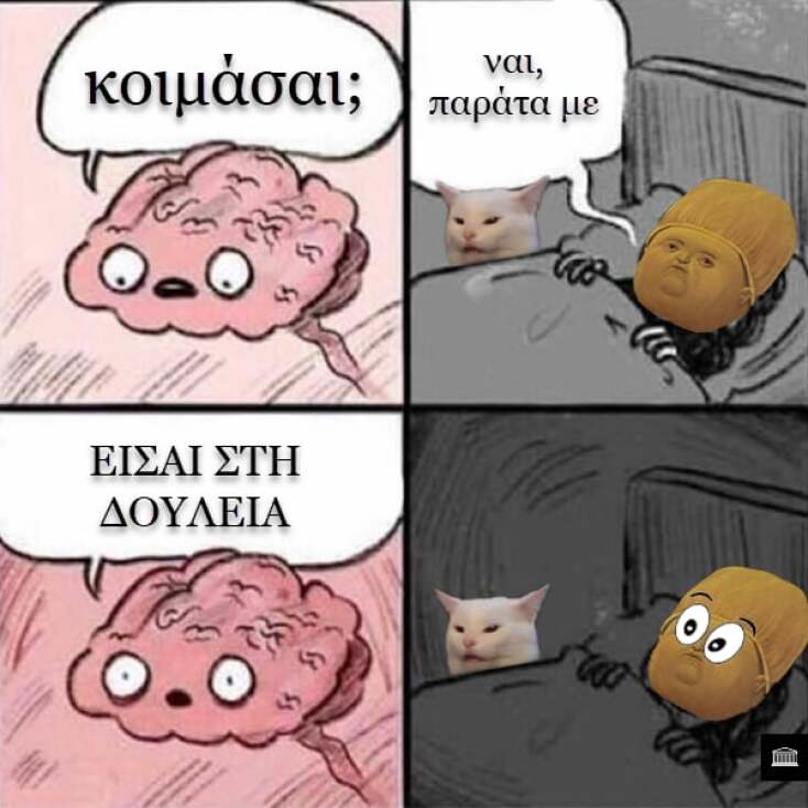 Αστεία memes, ατάκες, YOLO βίντεο, viral, αστεία video στο TikTok που ανέβηκαν στο διαδίκτυο και μας έκαναν να γελάσουμε.