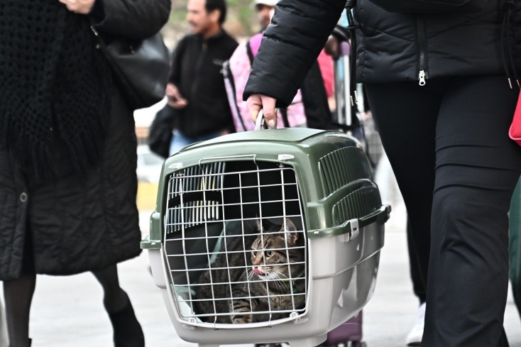 Σαντορίνη: Συνεχίζεται η μαζική αναχώρηση των κατοίκων από το νησί (Φώτο)
