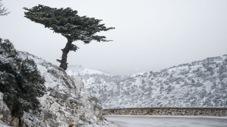Κακοκαιρία Coral, Πάρνηθα 