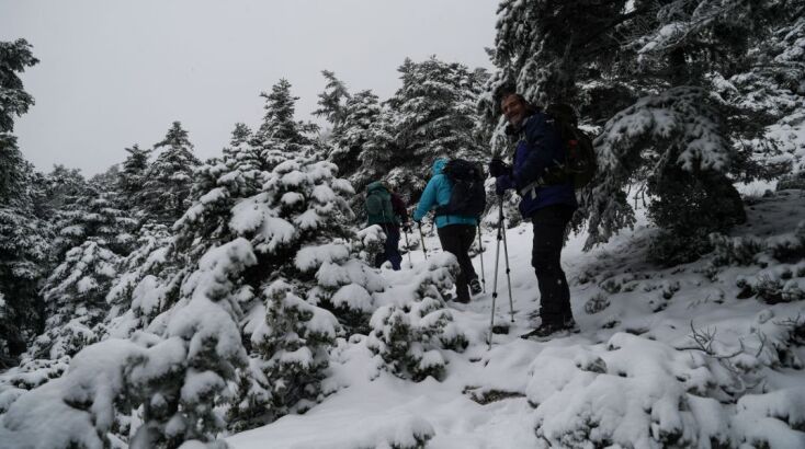 Κακοκαιρία Coral, Πάρνηθα 