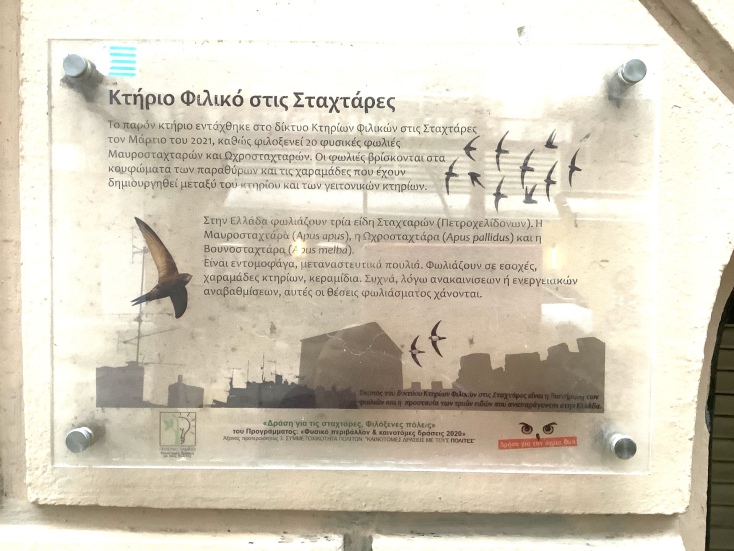 Καμπίσιες πέρδικες στην Τούμπα, σταχτάρες στην Καλλάρη και πράσινοι παπαγάλοι στην Καλαμαριά