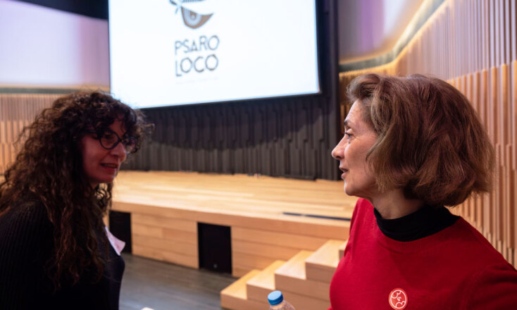 Οι ταινίες του PSAROLOCO