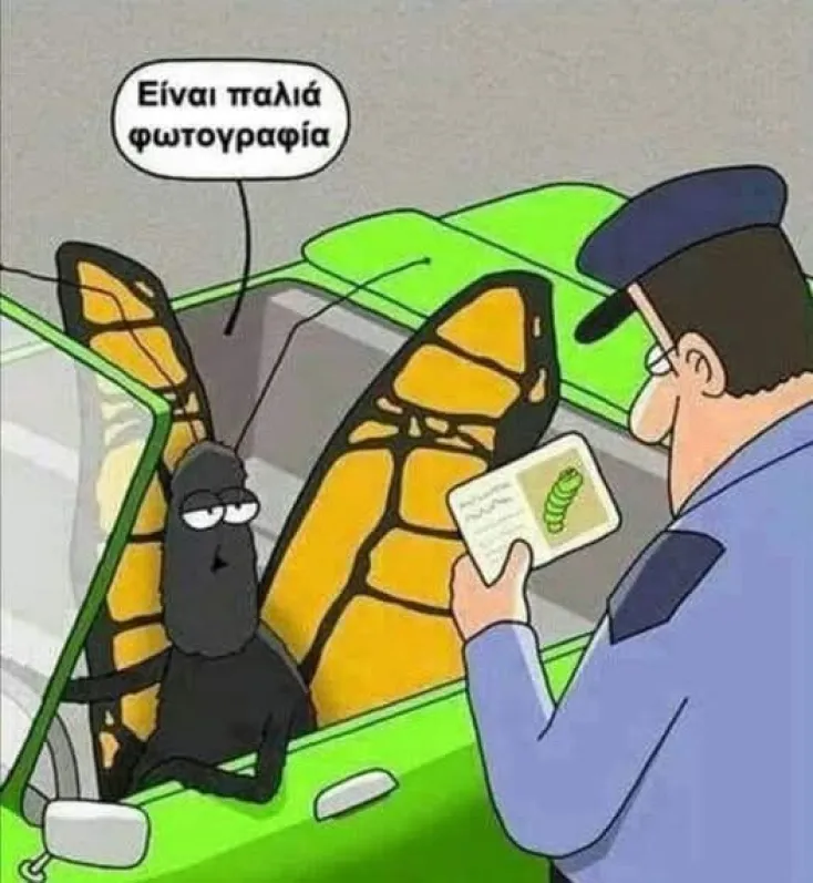 [Εικόνα: yolo-kalo.webp]