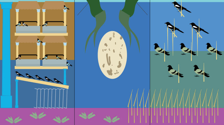 Μαρίνα Παπαδάκη, For the Birds! The flags of coexistence, 2025, installation, digital print on fabric