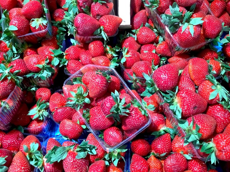 Ρεφανίδης Φρουτομαγεία