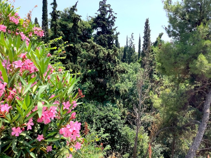 Σέιχ Σου - Κεδρηνός Λόφος