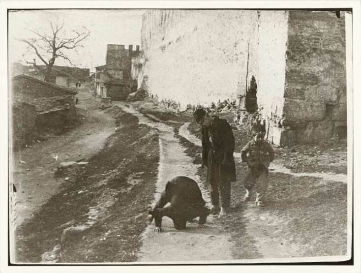 Ο Πλάτανος διακρίνεται στα αριστερά