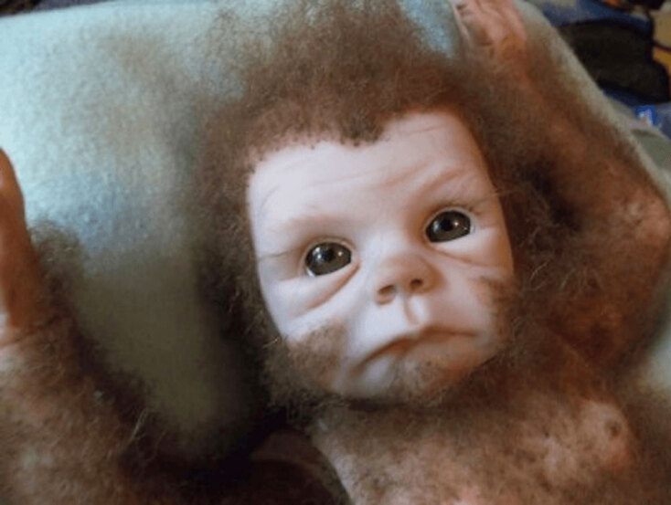 Διεθνές Μουσείο Κρυπτοζωολογίας | Πόρτλαντ, Μέιν, ΗΠΑ