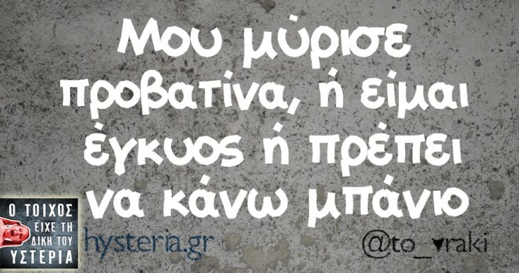 Αστεία memes, ατάκες, YOLO βίντεο, viral, αστεία video στο TikTok που ανέβηκαν στο διαδίκτυο και μας έκαναν να γελάσουμε.