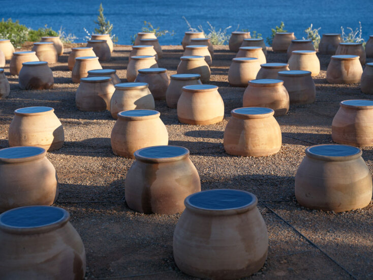 Δανάη Στράτου / «Ενάρετη Σπείρα»