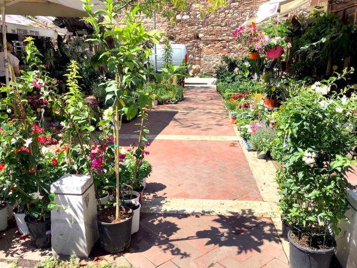 Λουλουδάδικα, Θεσσαλονίκη