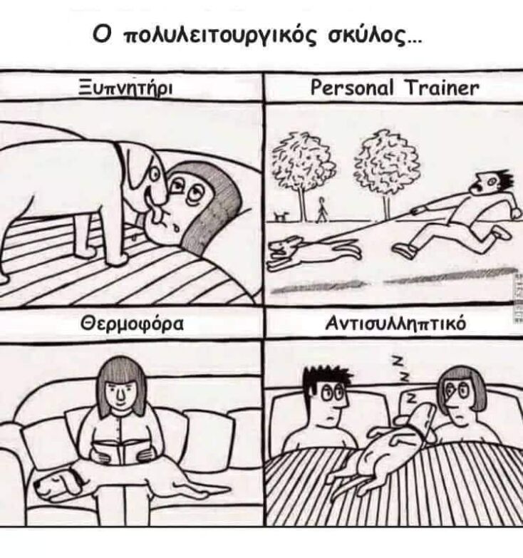 Αστεία memes, ατάκες, YOLO βίντεο, viral, αστεία video στο TikTok που ανέβηκαν στο διαδίκτυο και μας έκαναν να γελάσουμε.