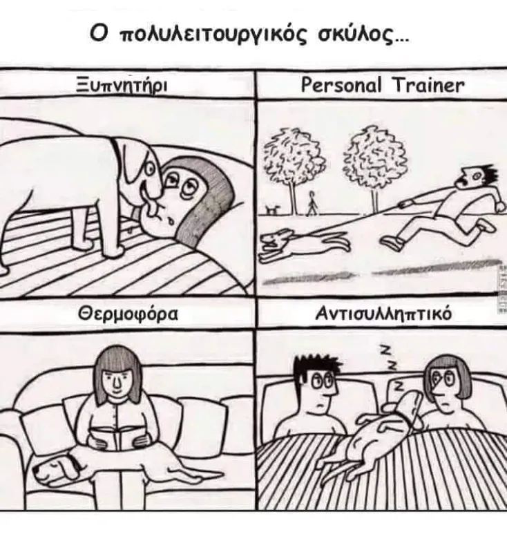 [Εικόνα: yolo-o-skylos.webp]