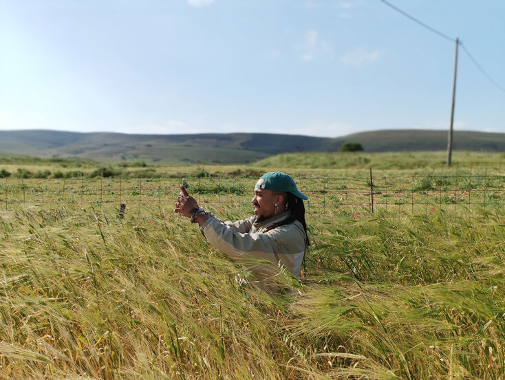 Ari Tavares ©Kournos Music Festival