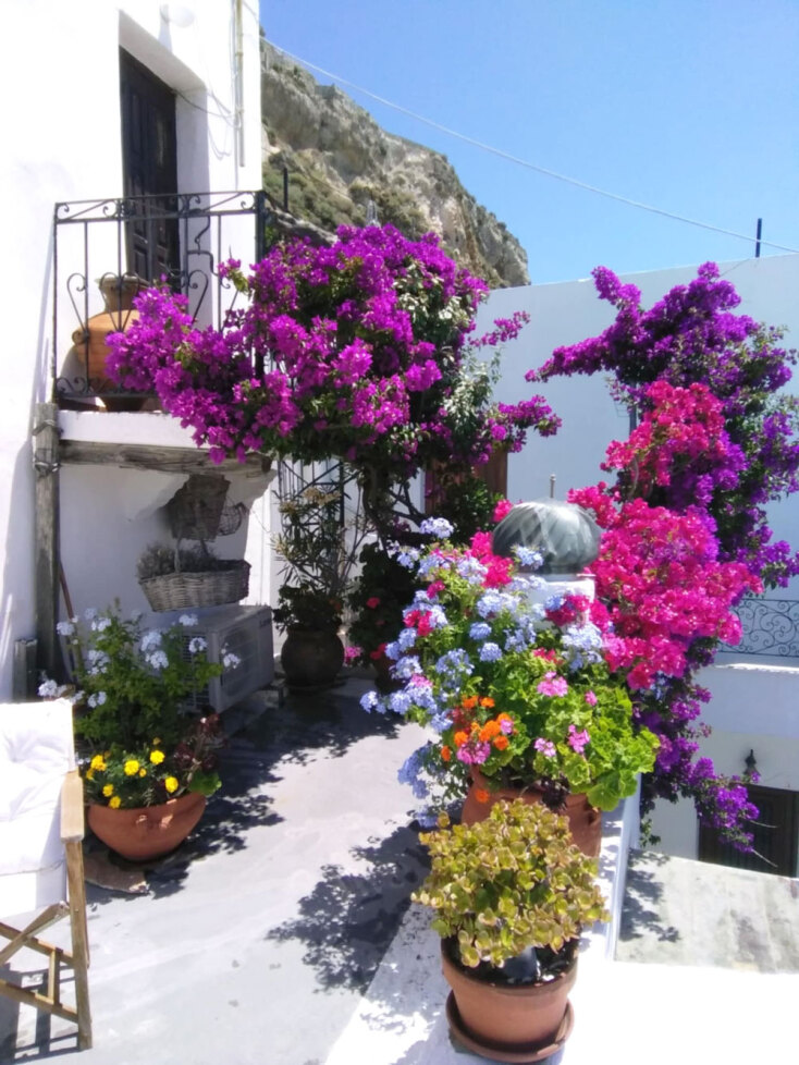 Bασίλης Καρακατσάνης | Σκύρος