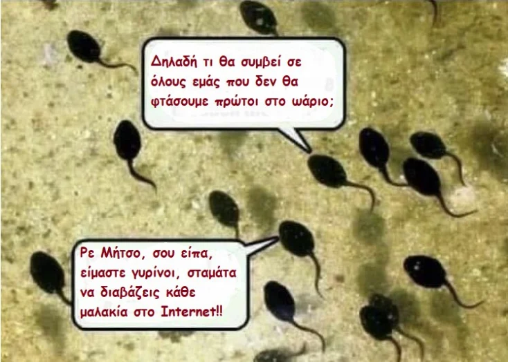 [Εικόνα: yolo-ase-mas-re-mitso.webp]