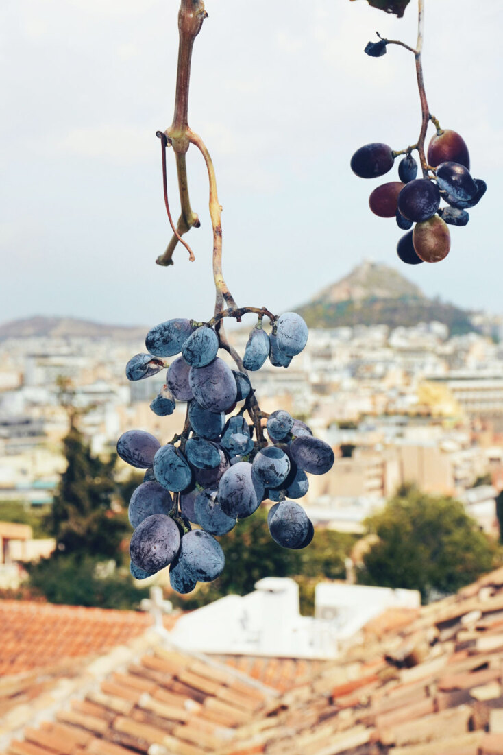 Η Αθήνα του Αυγούστου