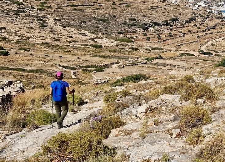 Ολοκληρώθηκαν δύο νέα προγράμματα του Cycladic Identity στη Σίκινο 