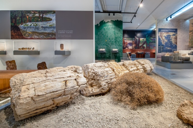 Μουσείο Απολιθωμένου Δάσους, Λέσβος