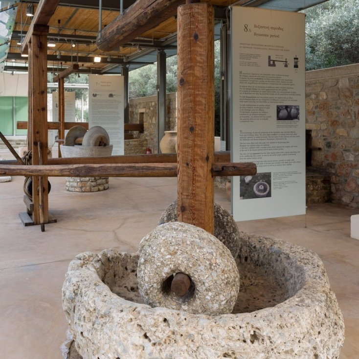 Μουσείο ελιάς και ελληνικού λαδιού, Σπάρτη