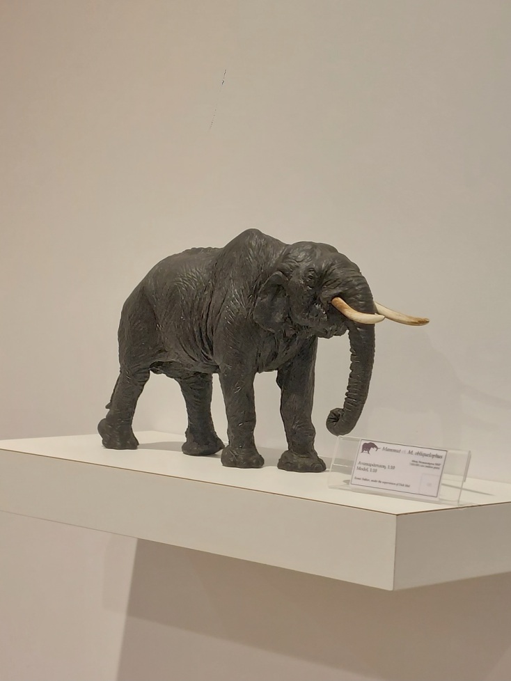 Μουσείο «Μαστόδοντα», Νεοκαισάρεια Πιερείας