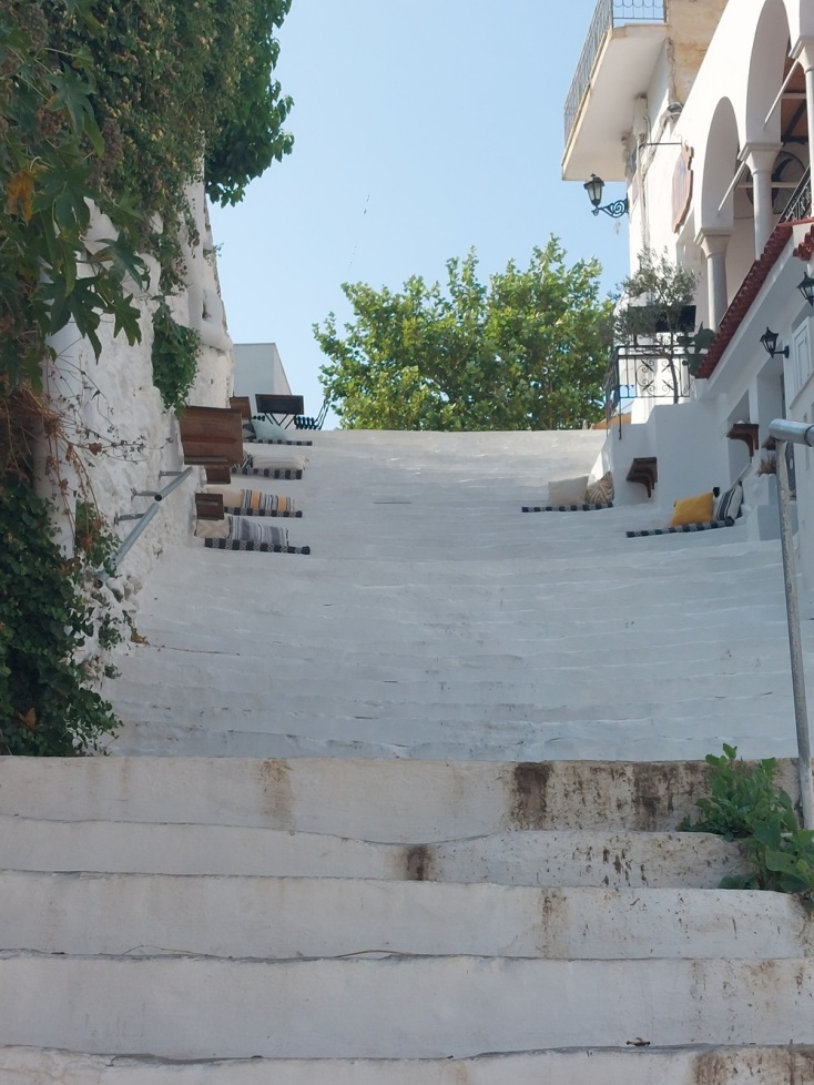 Άνδρος, Χώρα